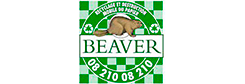 beaver